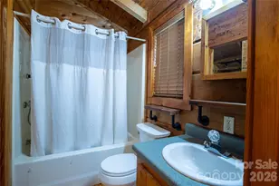 319 Dancing Leaf Ln, Bakersville, NC 28705 - Photo 24