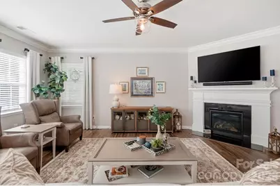 317 Picasso Trail, Mount Holly, NC 28120 - Photo 4