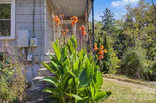 60 Riddle Rd, Swannanoa, NC 28778 - Photo 42