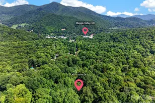 427 Locust Dr, Maggie Valley, NC 28751 - Photo 48