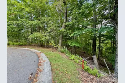 Tbd Galax Lane #45, Banner Elk, NC 28604 - Photo 10
