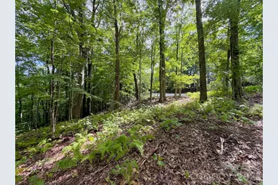 Tbd Galax Lane #45, Banner Elk, NC 28604 - Photo 8