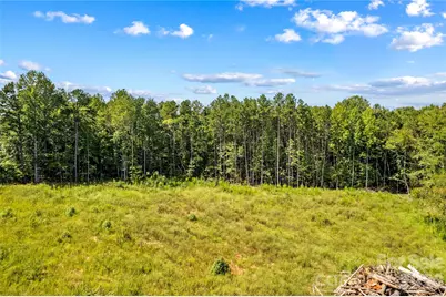 0 Roy Cline Road, Rockwell, NC 28138 - Photo 16