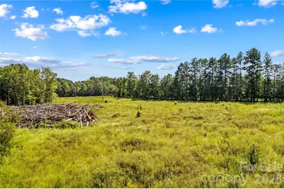 0 Roy Cline Road, Rockwell, NC 28138 - Photo 18