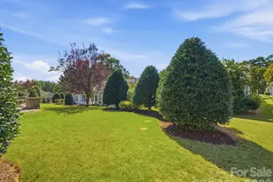 41055 Callalily St, Indian Land, SC 29707 - Photo 36