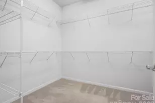 41055 Callalily St, Indian Land, SC 29707 - Photo 28