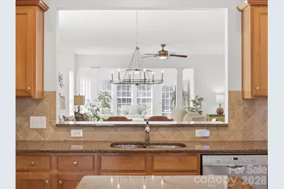 41055 Calla Lily Street, Indian Land, SC 29707 - Photo 10