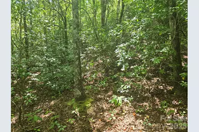000 Sugar Fork Road, Sylva, NC 28779 - Photo 14