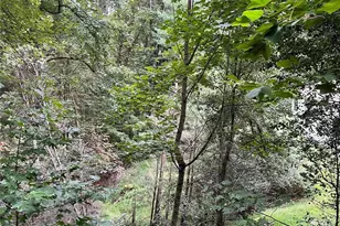2294 Shulls Mill Rd, Boone, NC 28607 - Photo 28