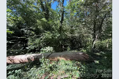 99999 Roebling Circle #40, Asheville, NC 28803 - Photo 4