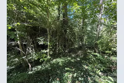 99999 Roebling Circle #40, Asheville, NC 28803 - Photo 16