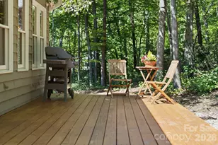 55 Brookside Dr, Columbus, NC 28722 - Photo 38