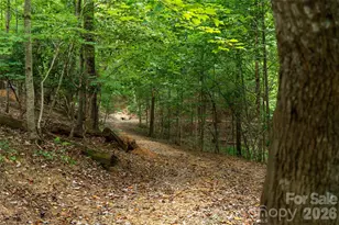 16 Holmes Ln, Arden, NC 28704 - Photo 40
