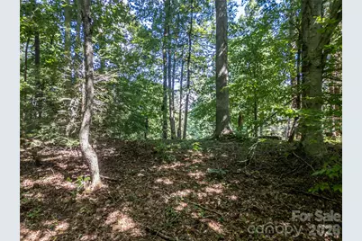 267 Morning Glory Lane, Marshall, NC 28753 - Photo 38