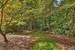 11925 Braid Hills Dr, Charlotte, NC 28277 - Photo 46