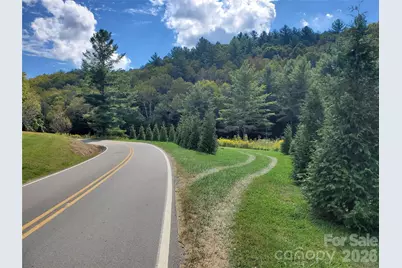 000 Nettle Knob Road, West Jefferson, NC 28694 - Photo 2