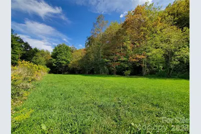 000 Nettle Knob Road, West Jefferson, NC 28694 - Photo 8