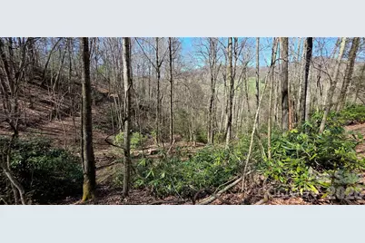 000 Nettle Knob Road, West Jefferson, NC 28694 - Photo 42