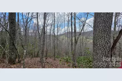 000 Nettle Knob Road, West Jefferson, NC 28694 - Photo 32