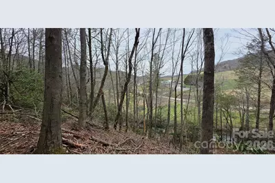000 Nettle Knob Road, West Jefferson, NC 28694 - Photo 36
