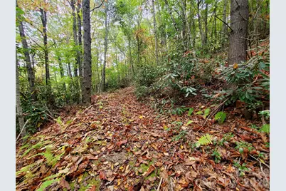000 Nettle Knob Road, West Jefferson, NC 28694 - Photo 38