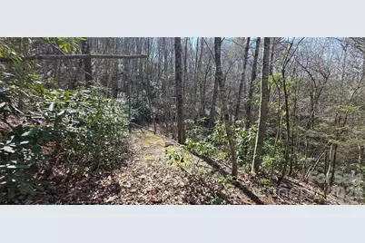 000 Nettle Knob Road, West Jefferson, NC 28694 - Photo 44