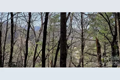 000 Nettle Knob Road, West Jefferson, NC 28694 - Photo 34