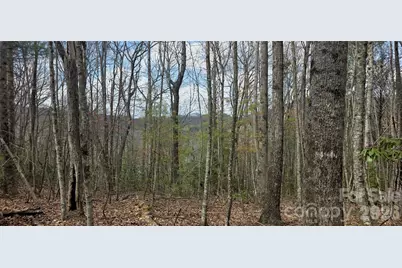 000 Nettle Knob Road, West Jefferson, NC 28694 - Photo 40