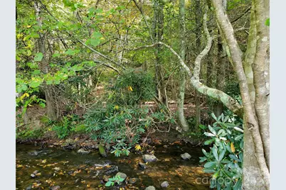 000 Nettle Knob Road, West Jefferson, NC 28694 - Photo 10