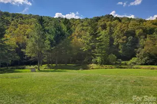 000 Nettle Knob Rd, West Jefferson, NC 28694 - Photo 1
