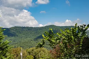 1 Half Moon Dr, Swannanoa, NC 28778 - Photo 2