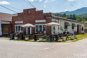 1 Half Moon Dr, Swannanoa, NC 28778 - Photo 38
