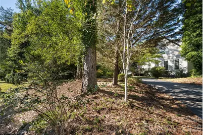 3482 Polk County Line Road, Rutherfordton, NC 28139 - Photo 42