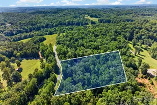 3482 Polk County Line Rd, Rutherfordton, NC 28139 - Photo 48