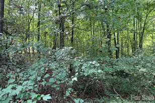 0 Carmi Ln, Salisbury, NC 28144 - Photo 1