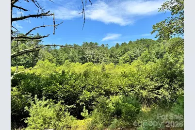 361 Rooster Cove, Brevard, NC 28712 - Photo 2