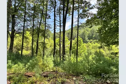 361 Rooster Cove, Brevard, NC 28712 - Photo 10