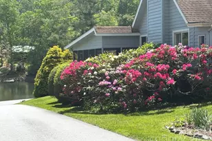 31 Willow Way, Hendersonville, NC 28739 - Photo 46