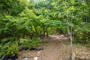 55 Blalock Ave, Asheville, NC 28803 - Photo 22