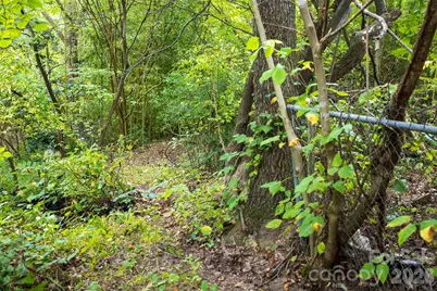 55 Blalock Avenue, Asheville, NC 28803 - Photo 28