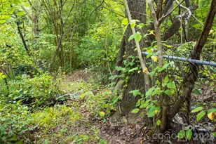 55 Blalock Ave, Asheville, NC 28803 - Photo 28
