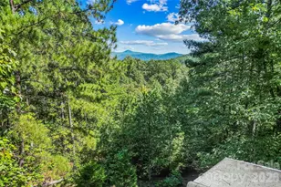 77 Dunn Trl, Nebo, NC 28761 - Photo 30