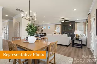 4232 Ruth Crk Ct, Charlotte, NC 28216 - Photo 12