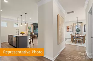 4232 Ruth Crk Ct, Charlotte, NC 28216 - Photo 8