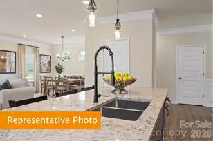 4232 Ruth Crk Ct, Charlotte, NC 28216 - Photo 4