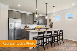 4232 Ruth Crk Ct, Charlotte, NC 28216 - Photo 6
