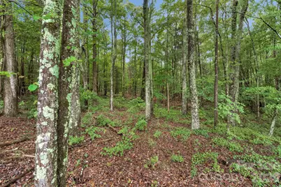 00 Mountain Road, Cleveland, NC 27013 - Photo 14