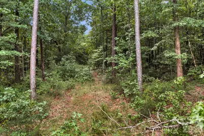 00 Mountain Road, Cleveland, NC 27013 - Photo 12