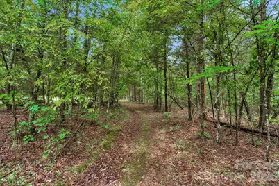 00 Mountain Road, Cleveland, NC 27013 - Photo 16