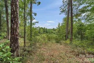 00 Mountain Rd, Cleveland, NC 27013 - Photo 1